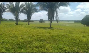 Fazenda / Sítio / Chácara à venda no , Monção - Foto 8