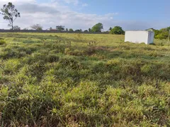 Fazenda / Sítio / Chácara com 3 Quartos à venda, 4600m² no Zona Rural, Monte Alegre - Foto 19