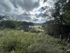 Terreno / Lote / Condomínio à venda, 13000m² no Vale dos Vinhedos, Bento Gonçalves - Foto 33