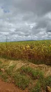 Fazenda / Sítio / Chácara com 1 Quarto à venda, 100m² no Zona Rural, Santana do Araguaia - Foto 7