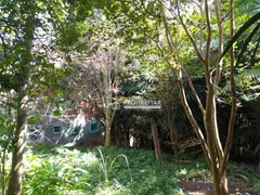 Fazenda / Sítio / Chácara com 2 Quartos à venda, 361m² no Jardim Alpino, São Paulo - Foto 9