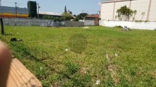 Terreno / Lote Comercial à venda, 1000m² no Cordeiros, Itajaí - Foto 3