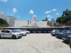 Terreno / Lote Comercial à venda, 722m² no Vila Itapura, Campinas - Foto 3