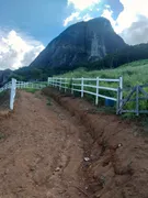 Fazenda / Sítio / Chácara com 2 Quartos à venda, 54000m² no Barra Alegre, Bom Jardim - Foto 13