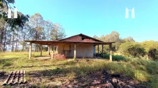 Fazenda / Sítio / Chácara com 1 Quarto à venda, 60m² no Bateias, Campo Largo - Foto 2