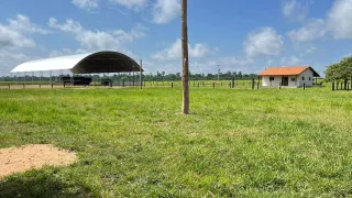 Fazenda / Sítio / Chácara com 3 Quartos à venda, 71150000m² no Celio Miranda, Paragominas - Foto 9