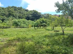 Fazenda / Sítio / Chácara com 2 Quartos à venda, 3600m² no Cidade Santa Julia, Itapecerica da Serra - Foto 6