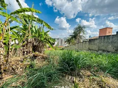 Terreno / Lote / Condomínio à venda, 1200m² no São Luíz, Belo Horizonte - Foto 8