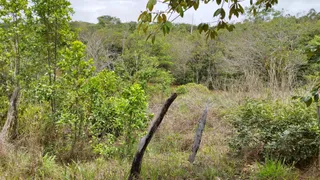 Fazenda / Sítio / Chácara à venda, 20000m² no Zona Rural, Corumbá de Goiás - Foto 7