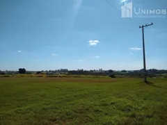 Terreno / Lote Comercial à venda, 240000m² no Betel, Paulínia - Foto 5