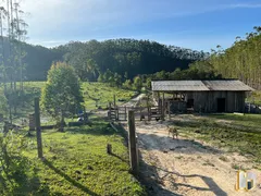 Fazenda / Sítio / Chácara com 3 Quartos à venda, 26000m² no Gaspar Grande, Gaspar - Foto 19