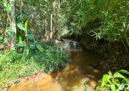 Fazenda / Sítio / Chácara com 4 Quartos à venda, 6000m² no Posse, Petrópolis - Foto 9