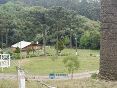 Fazenda / Sítio / Chácara com 4 Quartos à venda, 31000m² no Vila Seca, Caxias do Sul - Foto 7