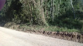 Terreno / Lote Comercial à venda no , Flores da Cunha - Foto 5