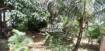 Fazenda / Sítio / Chácara à venda, 4000m² no Pitanguinha, Simões Filho - Foto 13