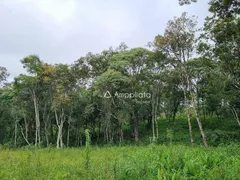 Fazenda / Sítio / Chácara à venda, 100m² no Rancho Alegre, Campina Grande do Sul - Foto 23