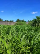 Fazenda / Sítio / Chácara com 4 Quartos à venda, 130m² no Zona Rural, São José de Mipibu - Foto 17