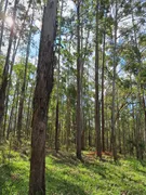 Fazenda / Sítio / Chácara à venda, 530000m² no Zona Rural, Oliveira - Foto 8