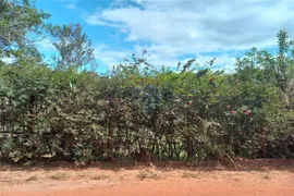 Fazenda / Sítio / Chácara à venda, 2000m² no Floresta, Belo Horizonte - Foto 5