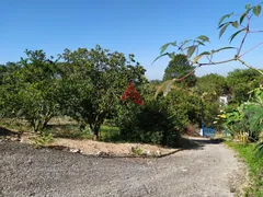 Fazenda / Sítio / Chácara com 3 Quartos à venda, 150m² no Chacara Itapoa, Jacareí - Foto 5