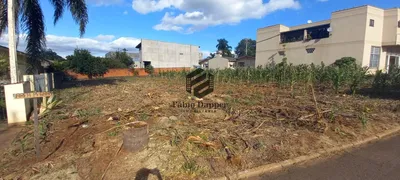 Terreno / Lote / Condomínio à venda, 402m² no Floresta, Dois Irmãos - Foto 1