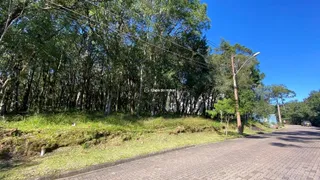 Terreno / Lote / Condomínio à venda, 728m² no Pinheiro Grosso, Canela - Foto 3