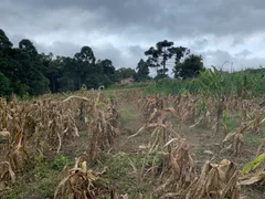 Fazenda / Sítio / Chácara à venda, 24000m² no Zona Rural, Mandirituba - Foto 27