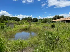 Casa com 3 Quartos à venda, 20000m² no Area Rural do Paranoa, Brasília - Foto 21