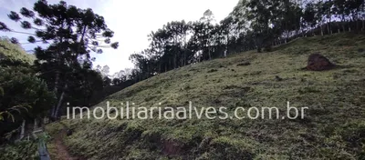 Terreno / Lote / Condomínio à venda, 37000m² no Zona Rural, Virgínia - Foto 12