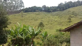 Fazenda / Sítio / Chácara com 2 Quartos à venda, 240000m² no Pouso Alto, Natividade da Serra - Foto 28
