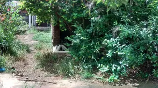 Terreno / Lote / Condomínio à venda no Palmeiras, Belo Horizonte - Foto 1