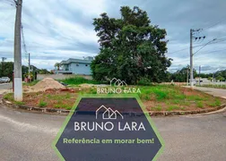 Terreno / Lote / Condomínio à venda, 400m² no , Igarapé - Foto 1