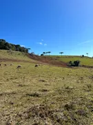 Fazenda / Sítio / Chácara com 1 Quarto à venda, 20000m² no Vila Seca, Caxias do Sul - Foto 1