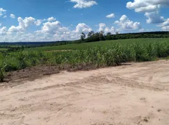 Fazenda / Sítio / Chácara com 3 Quartos à venda, 150m² no Zona Rural, Conchal - Foto 3