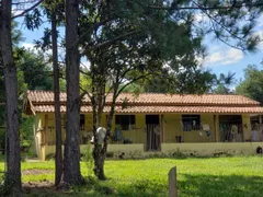 Fazenda / Sítio / Chácara com 3 Quartos à venda, 150m² no Zona Rural, Quadra - Foto 4