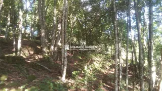 Fazenda / Sítio / Chácara à venda, 5000m² no Vale das Colinas, Gramado - Foto 12