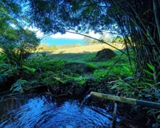 Fazenda / Sítio / Chácara à venda, 96000m² no Dom Joaquim, Brusque - Foto 8