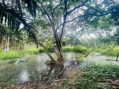 Fazenda / Sítio / Chácara com 8 Quartos à venda, 10157m² no Centro, Goianá - Foto 21