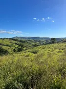 Fazenda / Sítio / Chácara à venda, 3025000m² no Zona Rural, Ibiporã - Foto 35