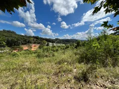 Terreno / Lote / Condomínio à venda, 10000m² no Vale dos Vinhedos, Bento Gonçalves - Foto 21