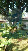 Fazenda / Sítio / Chácara com 4 Quartos à venda, 257m² no Jardim Santa Cruz, Aracoiaba da Serra - Foto 42