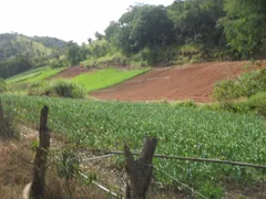 Fazenda / Sítio / Chácara com 4 Quartos à venda, 290m² no Sebastiana, Teresópolis - Foto 14
