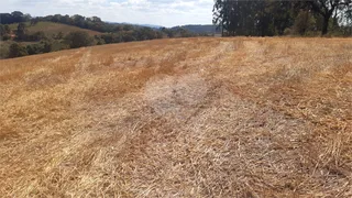 Fazenda / Sítio / Chácara com 1 Quarto à venda, 242000m² no Centro, Turvolândia - Foto 10