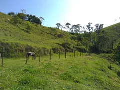Fazenda / Sítio / Chácara com 4 Quartos à venda, 126000m² no Santa Cruz, Volta Redonda - Foto 14