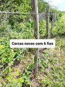 Fazenda / Sítio / Chácara com 3 Quartos à venda, 12000m² no Zona Rural, Lagoa de Pedras - Foto 19