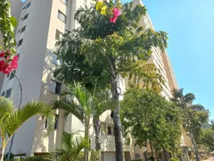 Apartamento com 3 Quartos à venda, 55m² no Jardim Boa Vista, São Paulo - Foto 33