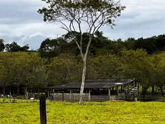 Fazenda / Sítio / Chácara com 5 Quartos à venda, 5000m² no , Carapebus - Foto 31