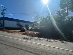 Terreno / Lote / Condomínio à venda, 355m² no Arroio da Manteiga, São Leopoldo - Foto 6