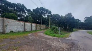 Galpão / Depósito / Armazém para alugar, 900m² no , Flores da Cunha - Foto 6