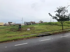 Terreno / Lote / Condomínio à venda, 300m² no Olimpico, Londrina - Foto 3